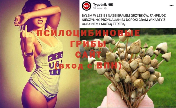 стафф Абинск