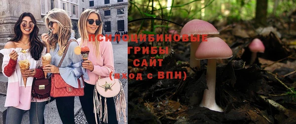 сатива Абаза