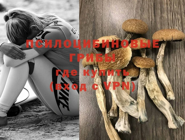 стафф Абинск