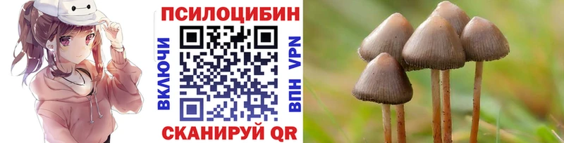 Галлюциногенные грибы Psilocybe  мориарти телеграм  Татарск 
